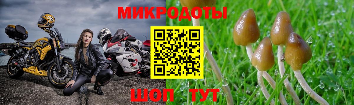 Галлюциногенные грибы GOLDEN TEACHER Амурск